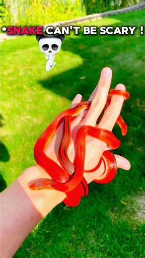 Snake can't be scary ?💀 #trolling #shorts