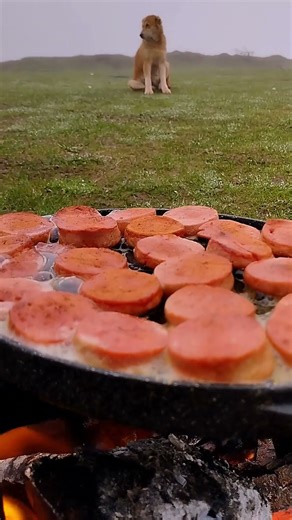 Foggy Morning Campfire Breakfast