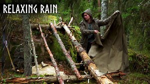 Rain in Finland: A Peaceful Forest Camping Experience