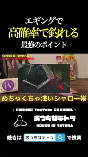 イカ釣りの狙い目ポイントとテクニック