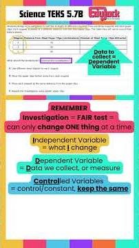 STAAR review: fair test (variables). One change only.
