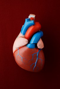 9 Subtle Signs You Could Have a Heart Problem
