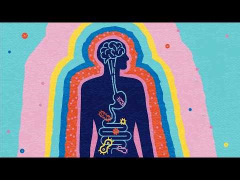 Gut Microbiome “Remote Control” for Memory: How Vagus Nerve Links Aging to Brain Decline
