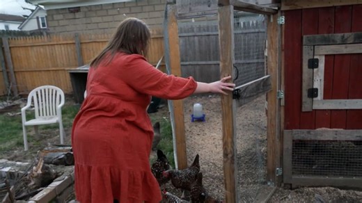 Egg prices rose 60 percent in a year. See how some are trying to cut costs