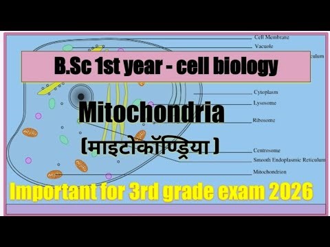 Mitochondria (माइटोकोंड्रिया)‪@MKclass09‬