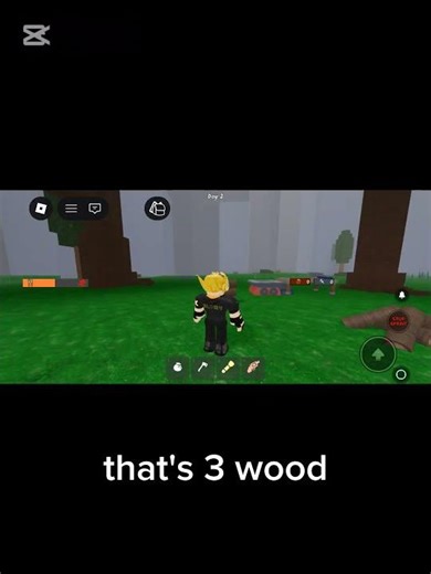 Burning One Wood For Every Subscriber 🪵🪓🔥 (part 3)