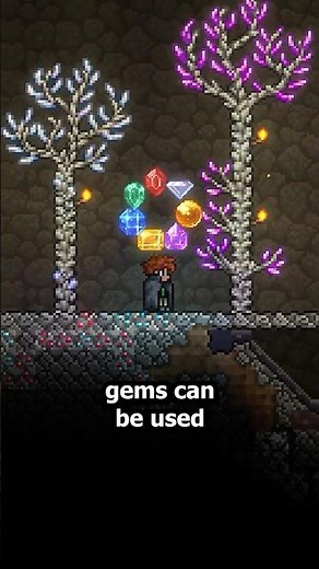 BEST Gem Facts in Terraria!