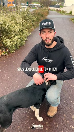 156K views · 1.3K reactions | Ne regarde pas cette vidéo si tu as un chien PUISSANT ! Pour rappel, cette technique n'est pas miracle elle est faite pour te soulager et non pour régler une problématique. Si tu veux intérger mon programme d'accompagnement personnalisé, envoie moi "HUNTER". | Hunter Dog Academy - Hugo Larrazabal | Facebook