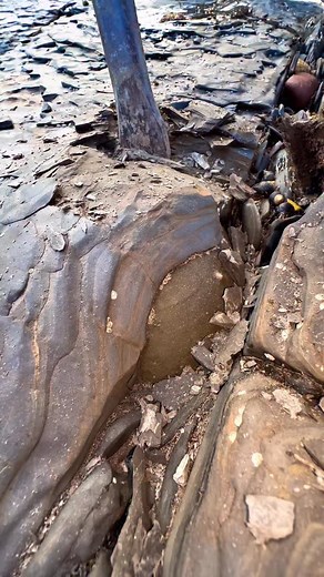 1.3M views · 1.8K reactions | *Use code FOSSIL20 for 20% off your...