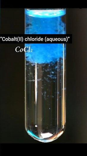 “Cobalt Chloride + Sodium Hydroxide Reaction | Beautiful Precipitation Experiment | Chemistry