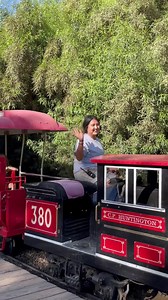 34 reactions · 6 comments | Every year the Wildlife World Zoo...