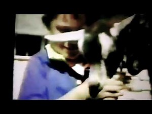 Today's creature is the goat