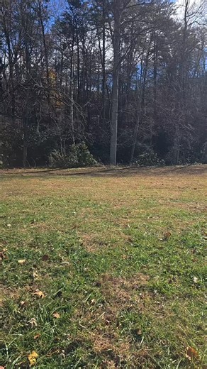 Its a beautiful day at Mountain Springs! | Mountain Springs Cabins | Facebook