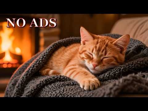 Calming Music for Cats😸Purring Cats to Anti Anxiety & Stress🎵Music for Cat to Fall Into Deep Sleep