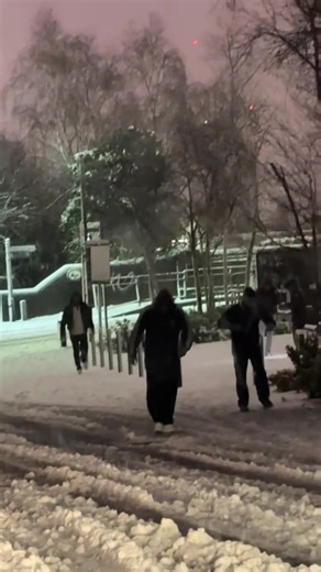 Raja's Recovery Journey: A Humorous Insight