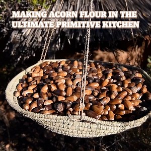 How to Make Acorn Flour in the Wild | Chad Zuber