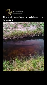 Polarized glasses help improve vision by reducing glare and protecting your eyes from harmful light. Glare happens when light bounces off surfaces like water, roads, or glass, causing eye strain and making it harder to see clearly. 😎☀️ Follow @networkgains for more. Video Credits @ raisfacts #EyeProtection #PolarizedLenses #SeeClearly #NoMoreGlare #SmartVision | Network Gains