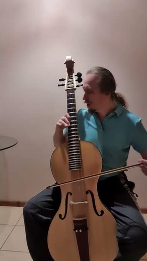 20 Arpeggione Bowed guitar Fretted cello viola da gamba