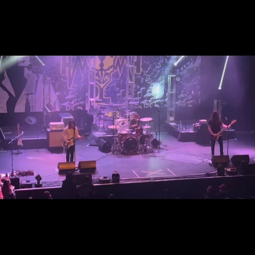 @jacksonmorriis and @harlan_steed crushed it onstage every night, and (no surprise) @indiodowney ‘s band earned a ton of new fans!! | Robert Downey Jr