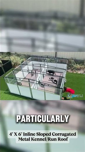 Best Sloped Metal Dog Kennel Roof 2026 | Stop Rain & Snow!