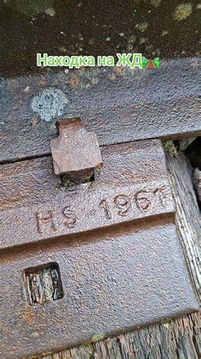 Interesting find on the abandoned railway #railway #RR #digging #metaldetecting #iron #forest #ab...