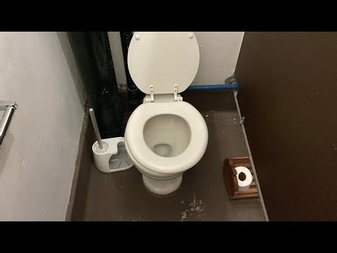 [1615] St Patty's Day LUCKY find special!! 1922(?) Eljer Sanus round bowl toilet!