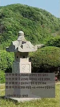 아리따운 연꽃 스물일곱 송이 붉은 꽃은 떨어지고