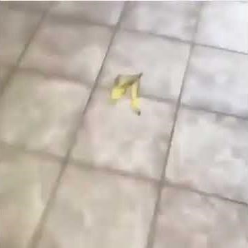 Slipping on a banana peel