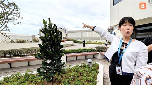 Punya Makna Kebahagiaan, Gleneagles Hospital Singapore Tanam Pohon Fukugi untuk Pasien