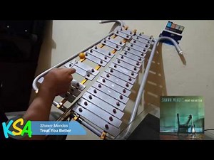 Shawn Mendes - Treat You Better (Lira Cover)