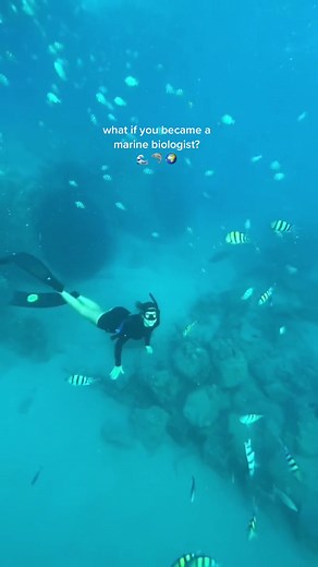 Exploring the Depths: A Dive into Marine Biology