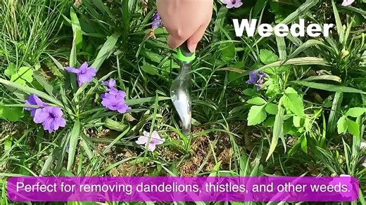 Complete 10-piece Garden Tools Set to Meet Your Various Gardening Needs