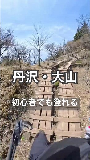【丹沢・大山】初心者でも登れる山・山頂で富士山を拝む山歩き