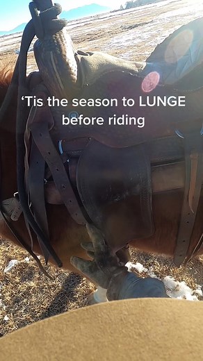 Cowboy Ranching in the Wild West