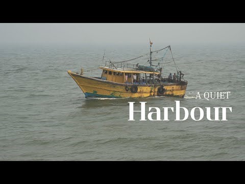 Life by the Sea | Juvvaladinne Fishing Harbour Cinematic Video