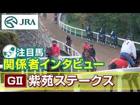 [Horse Spotlight: Interviews with Connections] 2026 Shion Stakes | JRA Official