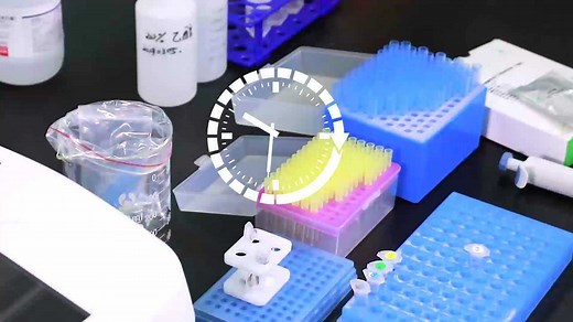 PCR操作学习视频