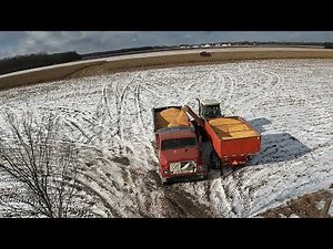 Farmer Bob - Winter Corn Harvest Chasing - CASE IH 1666 - 4694 - Paystar 5000 Cummins Power - 4K
