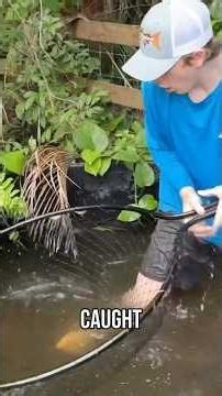 Exploring a Piranha Infested Pond... #piranha #fish #fishing #fishkeeping #animals #deadly