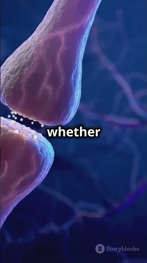 Understanding Neurotransmission in 30 Seconds! #sciencefather #Neuroscience