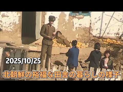 2025/10/25 北朝鮮の裕福な田舎の暮らしの様子、村人たちが作物を収穫する様子を見てみましょう