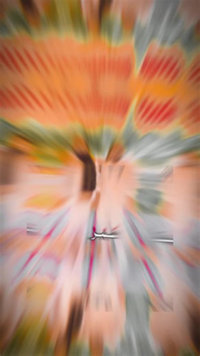 Abdul Wadood on TikTok