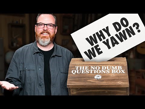 Science Mike Answers Our Questions