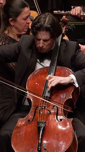Rococo Variations #orchestra #classicalmusic #cello #tchaikovsky #music #concerto #livemusic