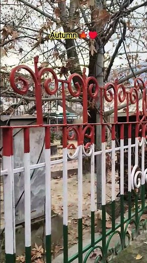 Autumn Mood Activated 🍂🤎 AutumnMood #FallVibes #AutumnFeels #FallSeason #LeafVibes #SoftVibes