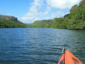 Kauai's Wailua River Kayak & Waterfall Hike - Go Visit Hawaii