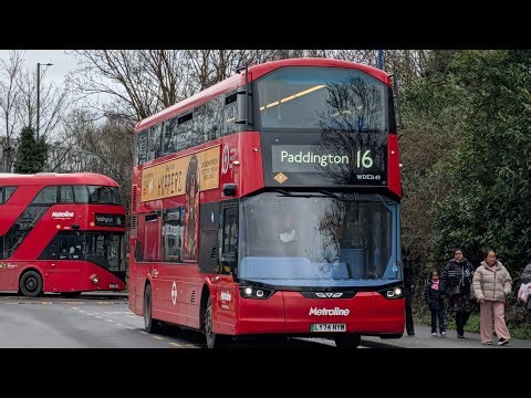 *FIRST TIME* Journey on Bus Route 16 (WDE3149 | LY74 NYM)