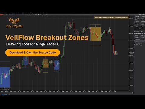 How to Use VeilFlow Breakout Zones Drawing Tool (Spanish) | NinjaTrader 8 | Rize Capital