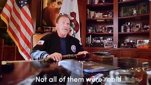 Invasion du Capitole : le discours puissant d'Arnold Schwarzenegger contre Donald Trump, un "leader raté" - Closer