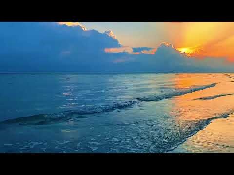 Tropical Beach Ambience ASMR | Soothing Ocean Sounds for Study, Relaxation, and Sleep
